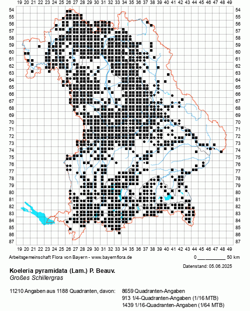 Die Verbreitungskarte zu Koeleria pyramidata (Lam.) P. Beauv. wird geladen ...