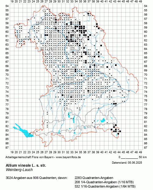 Die Verbreitungskarte zu Allium vineale L. s. str. wird geladen ...