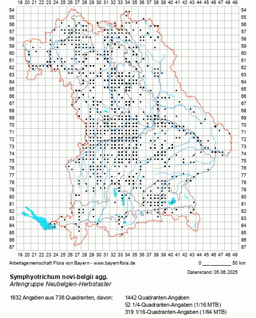 Die Verbreitungskarte zu Symphyotrichum novi-belgii agg. wird geladen ...