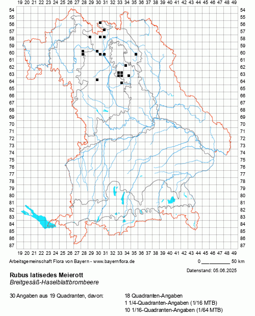 Die Verbreitungskarte zu Rubus latisedes Meierott wird geladen ...