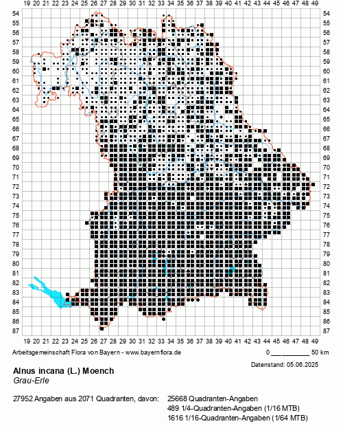 Die Verbreitungskarte zu Alnus incana (L.) Moench wird geladen ...