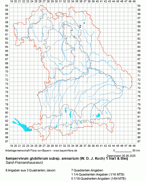 Die Verbreitungskarte zu Sempervivum globiferum subsp. arenarium (W. D. J. Koch) 