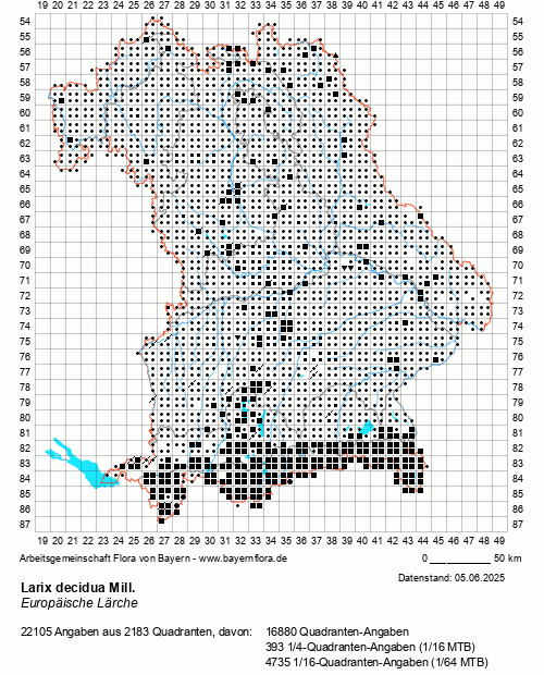 Die Verbreitungskarte zu Larix decidua Mill. wird geladen ...