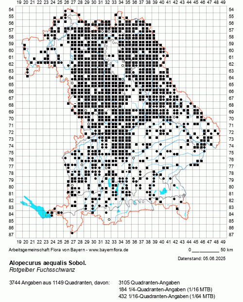 Die Verbreitungskarte zu Alopecurus aequalis Sobol. wird geladen ...