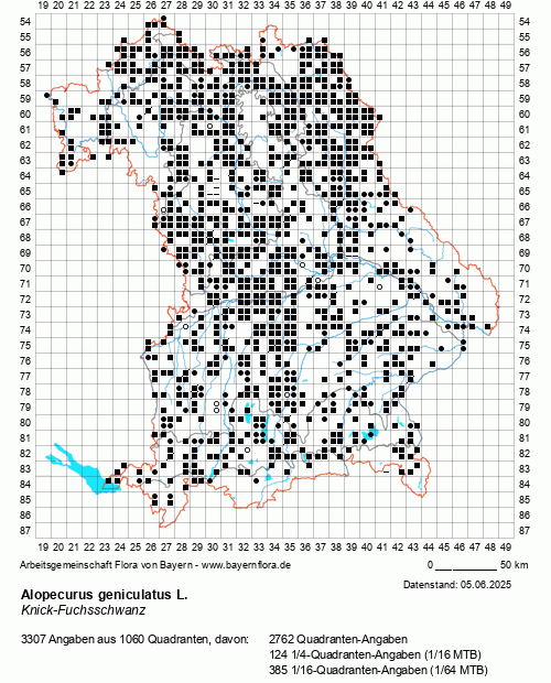 Die Verbreitungskarte zu Alopecurus geniculatus L. wird geladen ...