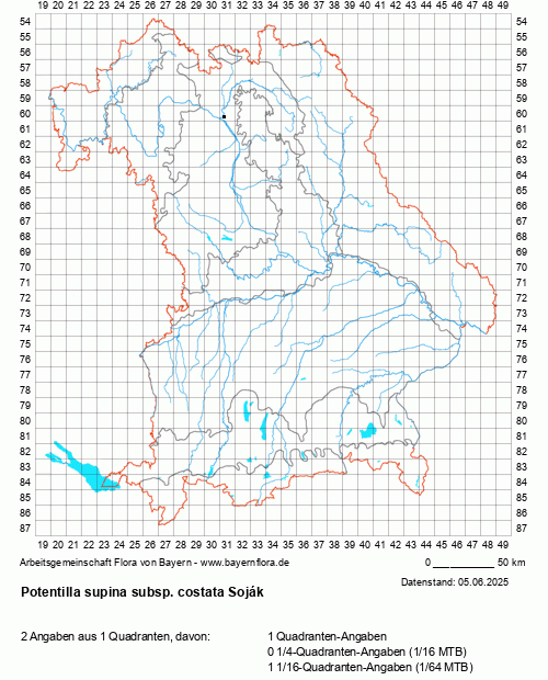 Die Verbreitungskarte zu Potentilla supina subsp. costata Soják wird geladen ...