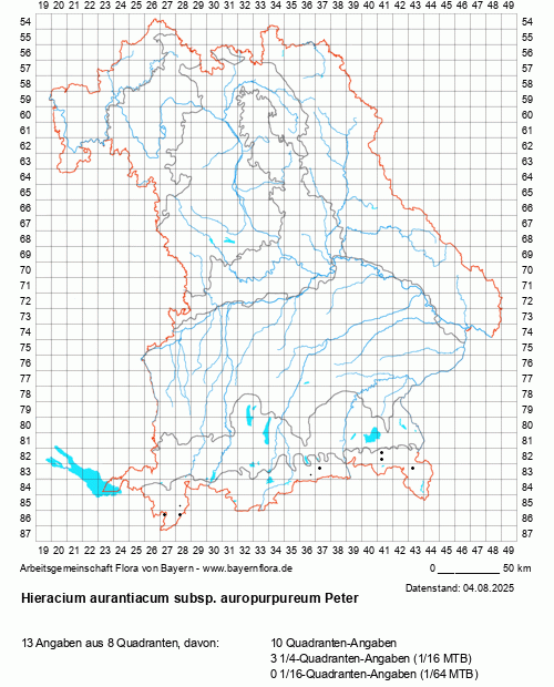 Die Verbreitungskarte zu Hieracium aurantiacum subsp. auropurpureum Peter wird geladen ...
