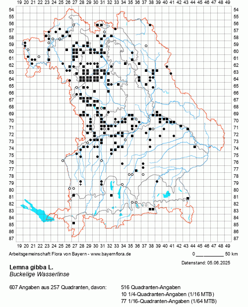 Die Verbreitungskarte zu Lemna gibba L. wird geladen ...
