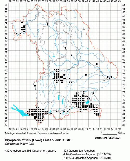 Die Verbreitungskarte zu Dryopteris affinis (Lowe) Fraser-Jenk. s. str. wird geladen ...