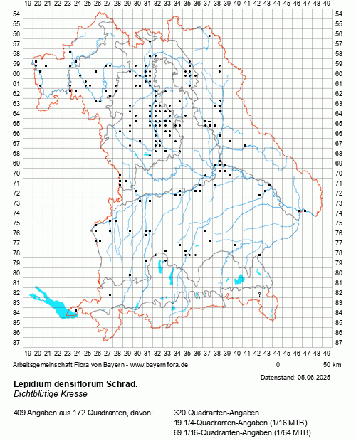 Die Verbreitungskarte zu Lepidium densiflorum Schrad. wird geladen ...