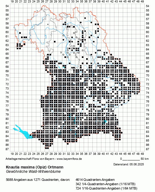Die Verbreitungskarte zu Knautia maxima (Opiz) Ortmann wird geladen ...