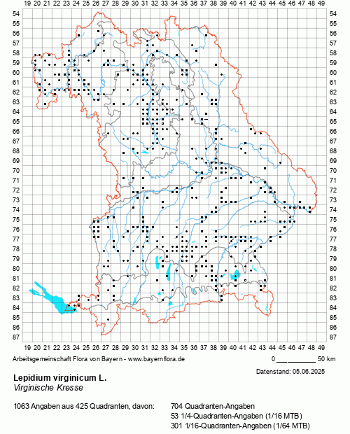 Die Verbreitungskarte zu Lepidium virginicum L. wird geladen ...