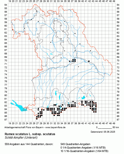 Die Verbreitungskarte zu Rumex scutatus L. subsp. scutatus wird geladen ...