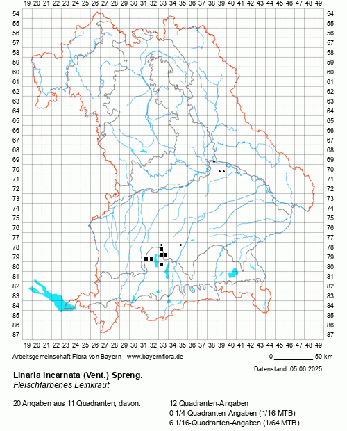 Die Verbreitungskarte zu Linaria incarnata (Vent.) Spreng. wird geladen ...