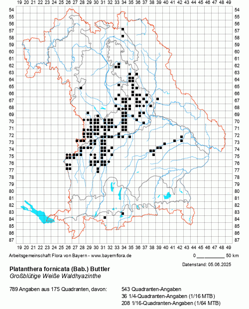 Die Verbreitungskarte zu Platanthera fornicata (Bab.) Buttler wird geladen ...