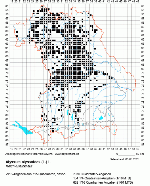 Die Verbreitungskarte zu Alyssum alyssoides (L.) L. wird geladen ...