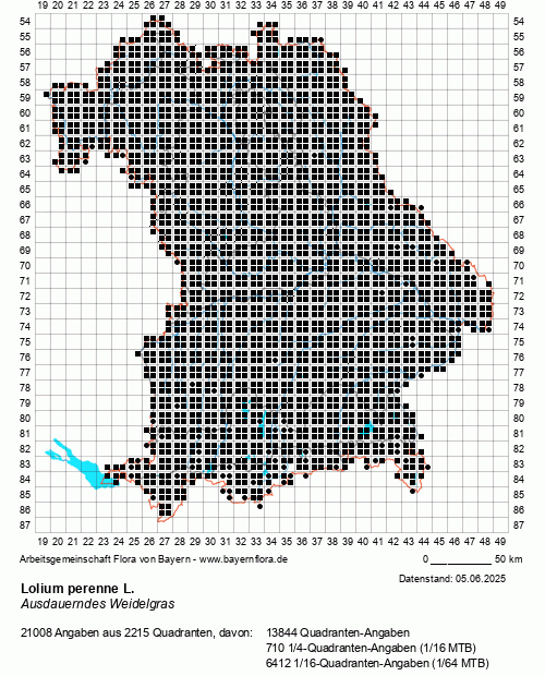 Die Verbreitungskarte zu Lolium perenne L. wird geladen ...