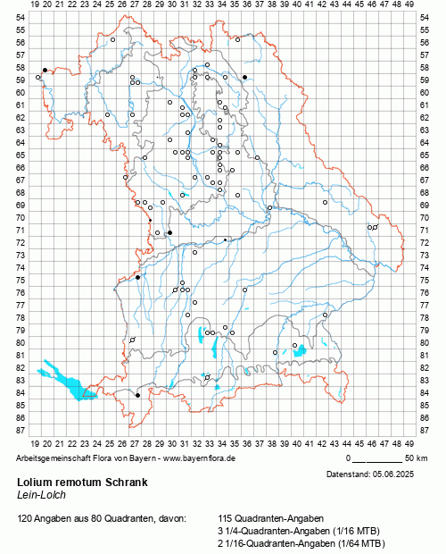 Die Verbreitungskarte zu Lolium remotum Schrank wird geladen ...