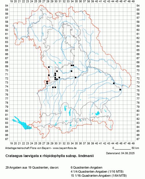 Die Verbreitungskarte zu Crataegus laevigata x rhipidophylla subsp. lindmanii wird geladen ...