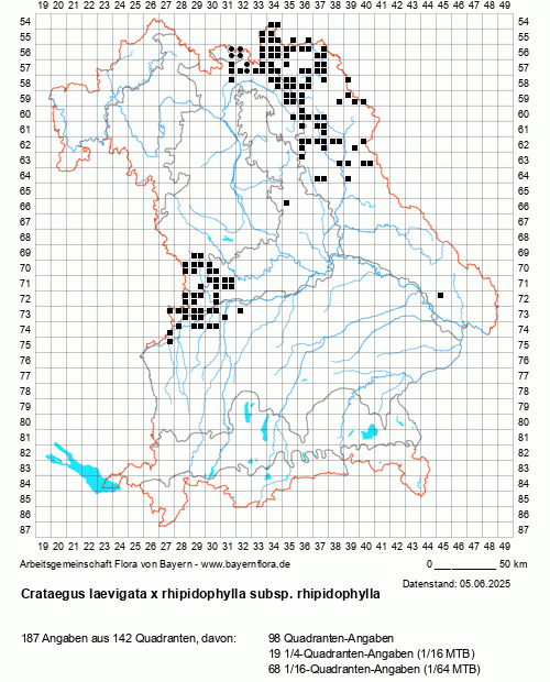 Die Verbreitungskarte zu Crataegus laevigata x rhipidophylla subsp. rhipidophylla wird geladen ...