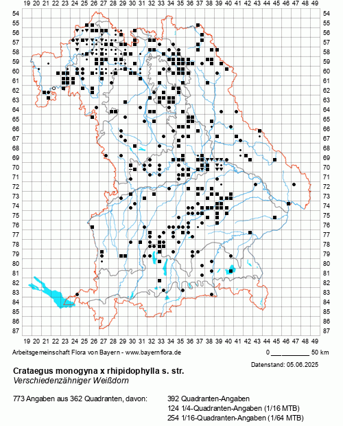 Die Verbreitungskarte zu Crataegus monogyna x rhipidophylla s. str. wird geladen ...