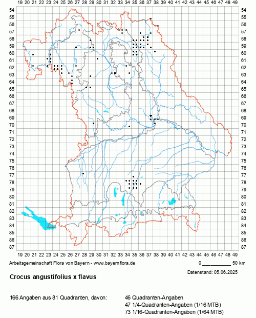 Die Verbreitungskarte zu Crocus angustifolius x flavus wird geladen ...