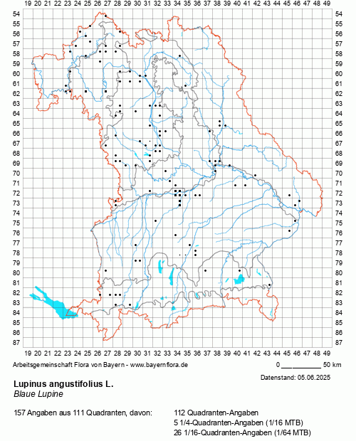 Die Verbreitungskarte zu Lupinus angustifolius L. wird geladen ...
