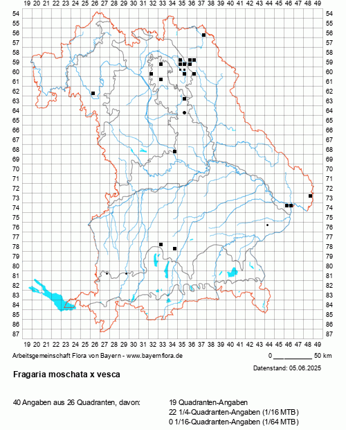 Die Verbreitungskarte zu Fragaria moschata x vesca wird geladen ...