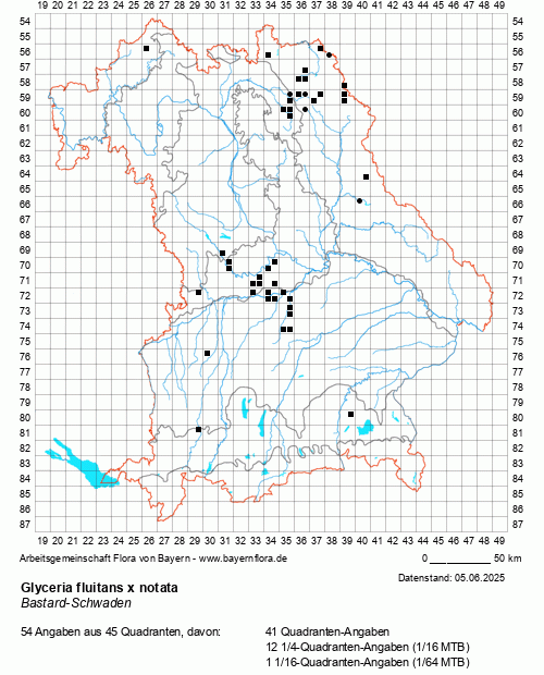 Die Verbreitungskarte zu Glyceria fluitans x notata wird geladen ...