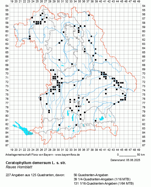 Die Verbreitungskarte zu Ceratophyllum demersum L. s. str. wird geladen ...