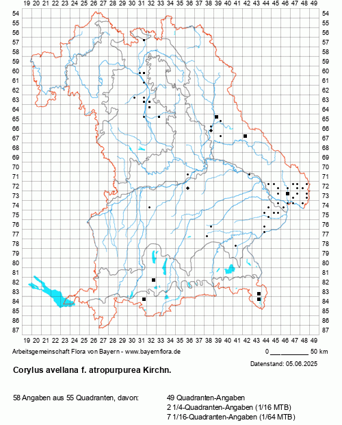 Die Verbreitungskarte zu Corylus avellana f. atropurpurea Kirchn. wird geladen ...