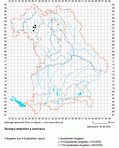 Die Verbreitungskarte zu Rorippa amphibia x austriaca wird geladen ...