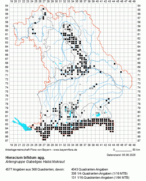 Die Verbreitungskarte zu Hieracium bifidum agg. wird geladen ...