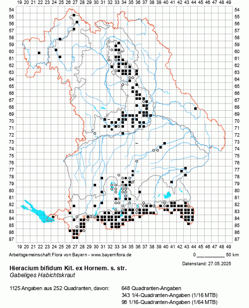 Die Verbreitungskarte zu Hieracium bifidum Kit. ex Hornem. s. str. wird geladen ...
