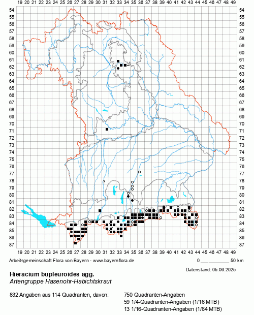 Die Verbreitungskarte zu Hieracium bupleuroides agg. wird geladen ...