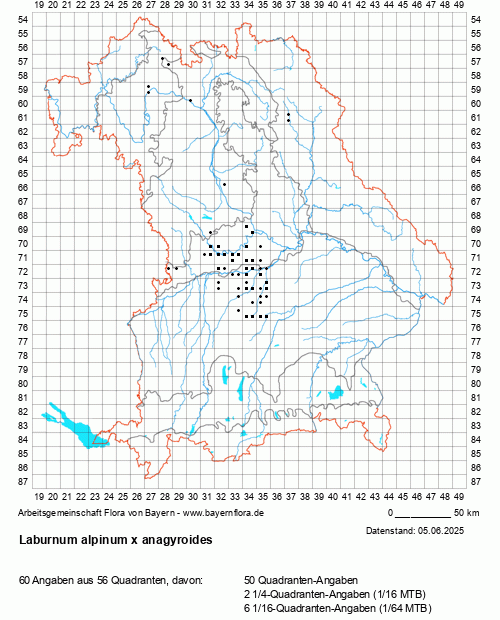 Die Verbreitungskarte zu Laburnum alpinum x anagyroides wird geladen ...