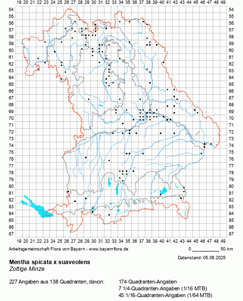 Die Verbreitungskarte zu Mentha spicata x suaveolens wird geladen ...