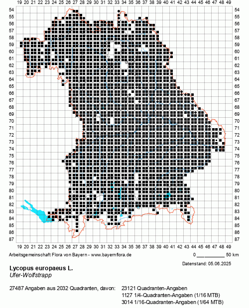 Die Verbreitungskarte zu Lycopus europaeus L. wird geladen ...