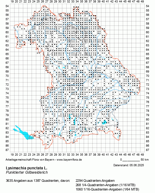Die Verbreitungskarte zu Lysimachia punctata L. wird geladen ...
