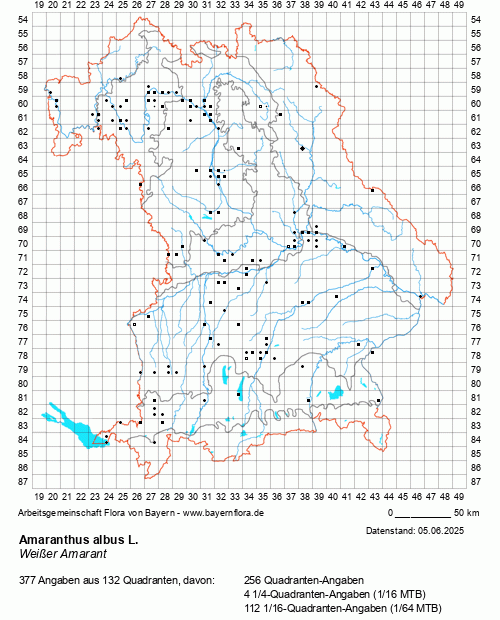 Die Verbreitungskarte zu Amaranthus albus L. wird geladen ...