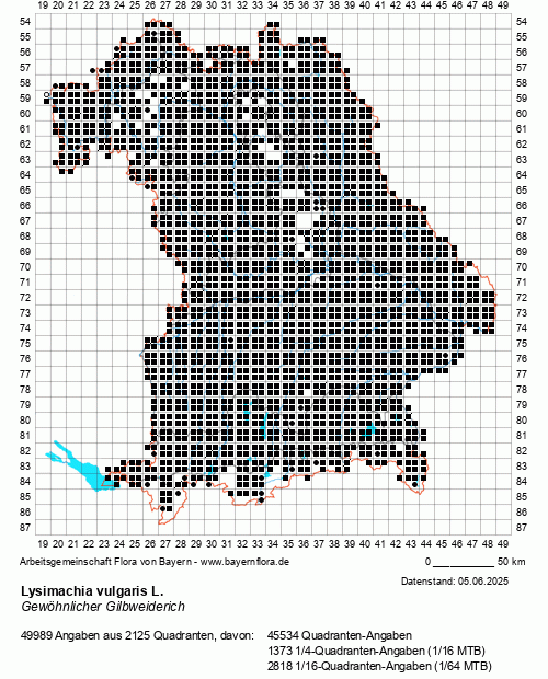Die Verbreitungskarte zu Lysimachia vulgaris L. wird geladen ...