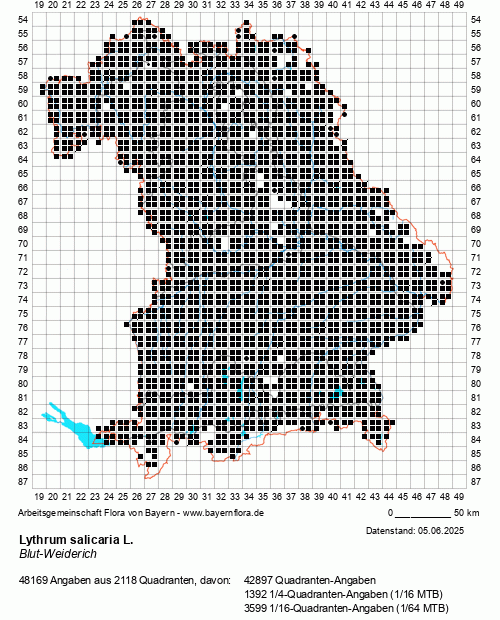 Die Verbreitungskarte zu Lythrum salicaria L. wird geladen ...