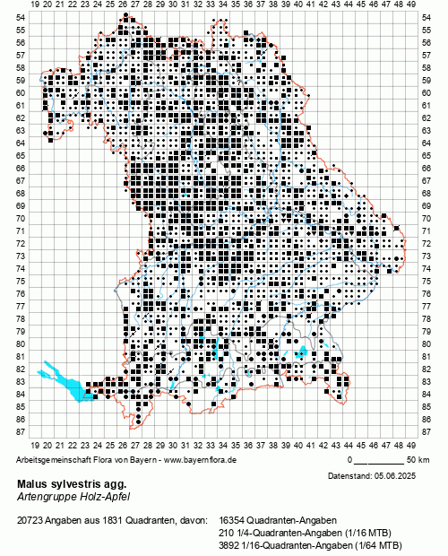 Die Verbreitungskarte zu Malus sylvestris agg. wird geladen ...