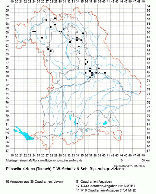 Die Verbreitungskarte zu Pilosella ziziana (Tausch) F. W. Schultz & Sch. Bip. subsp. ziziana wird geladen ...