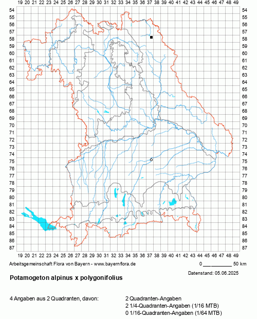 Die Verbreitungskarte zu Potamogeton alpinus x polygonifolius wird geladen ...