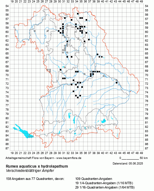 Die Verbreitungskarte zu Rumex aquaticus x hydrolapathum wird geladen ...