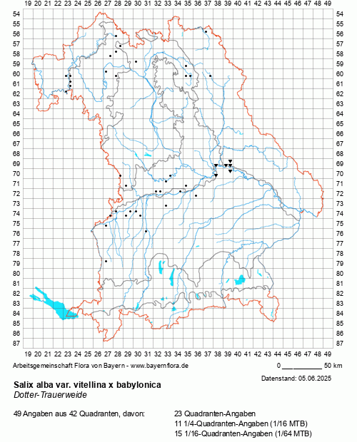 Die Verbreitungskarte zu Salix alba var. vitellina x babylonica wird geladen ...