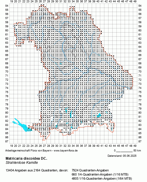 Die Verbreitungskarte zu Matricaria discoidea DC. wird geladen ...