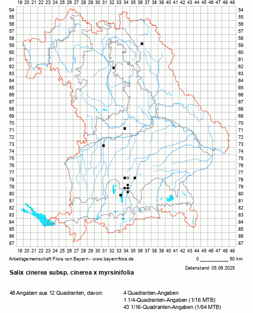 Die Verbreitungskarte zu Salix cinerea subsp. cinerea x myrsinifolia wird geladen ...