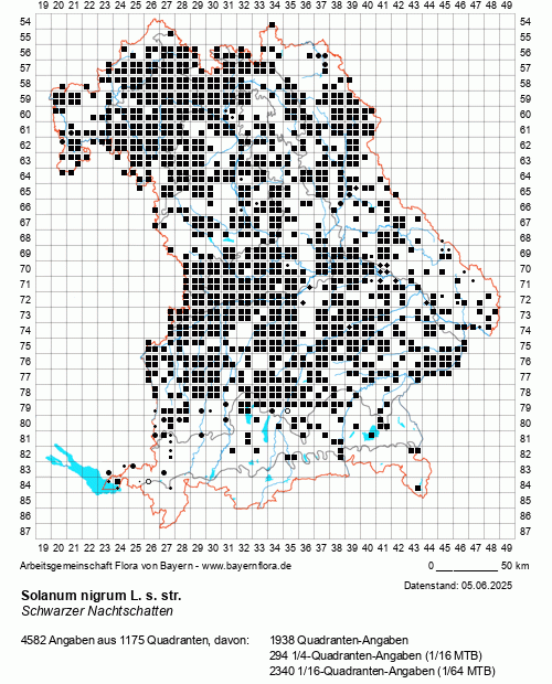 Die Verbreitungskarte zu Solanum nigrum L. s. str. wird geladen ...